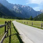 Plesnik Logar Valley 4*