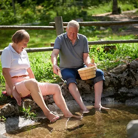 Plesnik Logarska Dolina Hotel Solcava