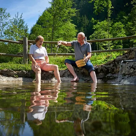 Plesnik Logarska Dolina Hotel Solcava