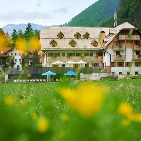 Plesnik Logarska Dolina Hotel