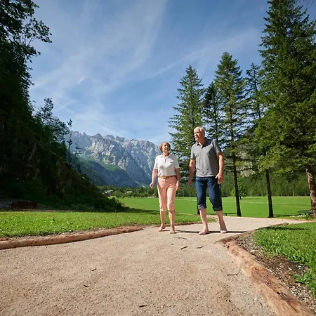 Plesnik Logarska Dolina Solcava