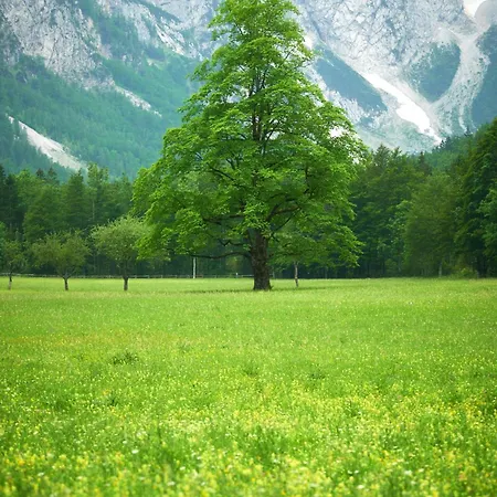 Plesnik Logar Valley Solčava