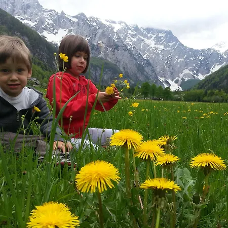 Hotel Plesnik Logar Valley 4*