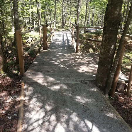 Plesnik Logar Valley ホテル 4*