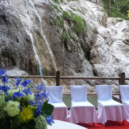 Plesnik Logar Valley ホテル 4*