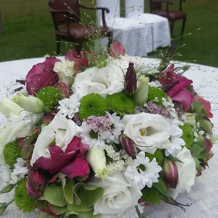 Plesnik Logar Valley 4* Солчава