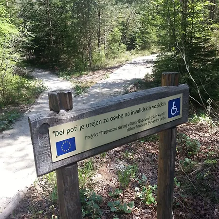 Отель Plesnik Logar Valley Солчава