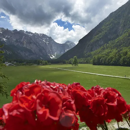 ホテル Plesnik Logar Valley
