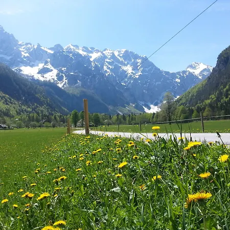 Plesnik Logar Valley 4*