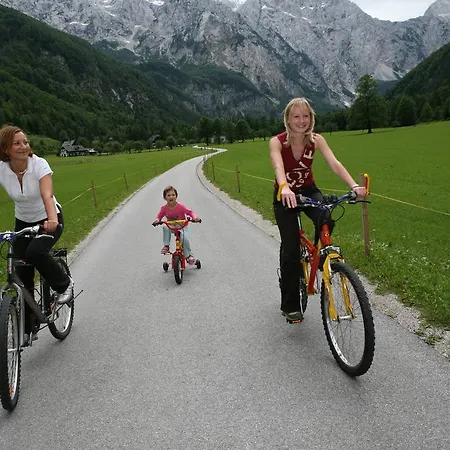 Hotel Plesnik Logarska Dolina 4*
