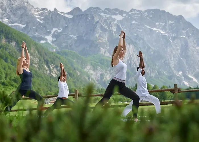 Plesnik Logar Valley 4*