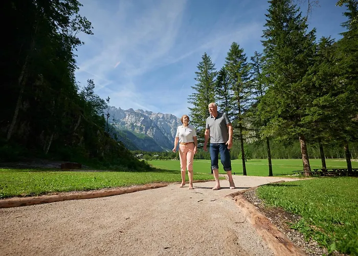 Plesnik Logar Valley Solčava