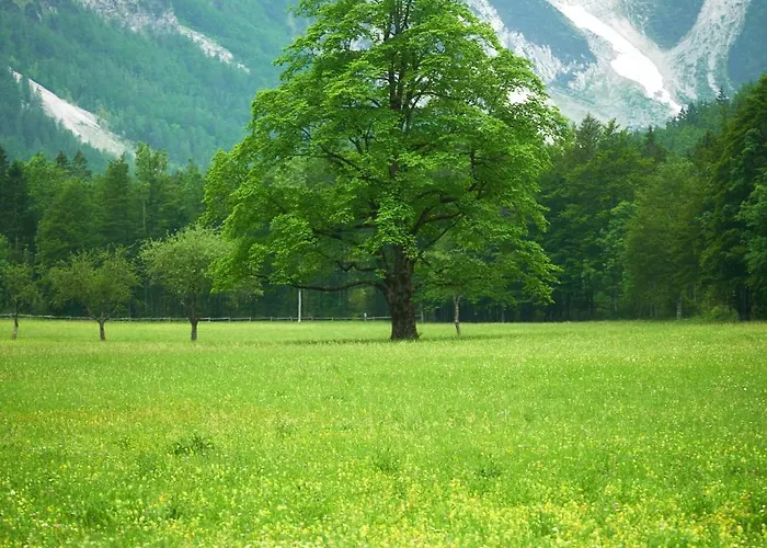 Plesnik Logar Valley Solčava