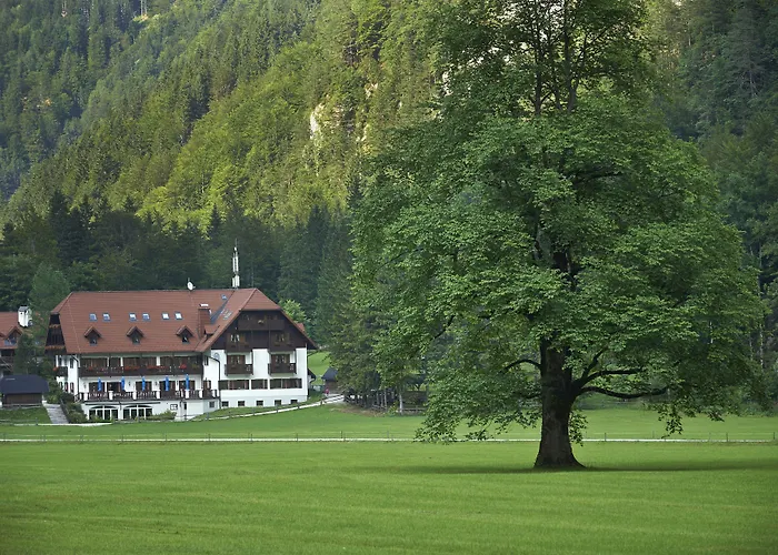 Plesnik Logar Valley 4*