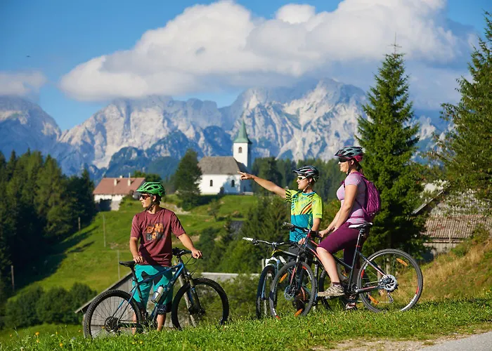 Plesnik Logar Valley Hotel Solčava