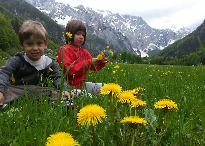 Hotel Plesnik Logar Valley 4*