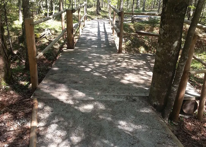 Plesnik Logar Valley Hotel 4*