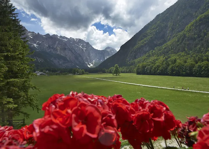 Hotel Plesnik Logar Valley