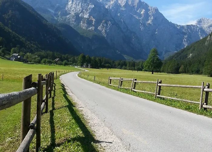 Plesnik Logar Valley 4*