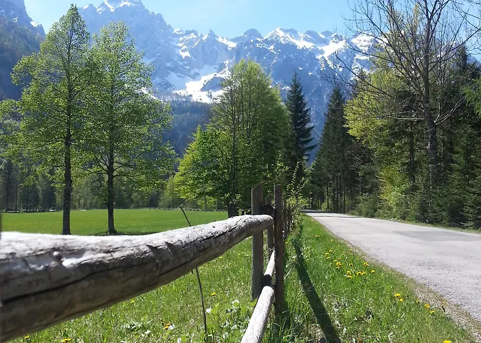 Plesnik Logar Valley Hotel 4*