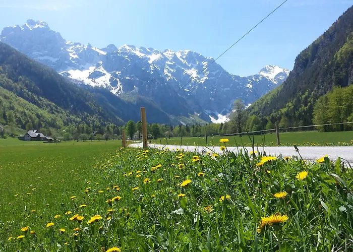 Plesnik Logar Valley 4*