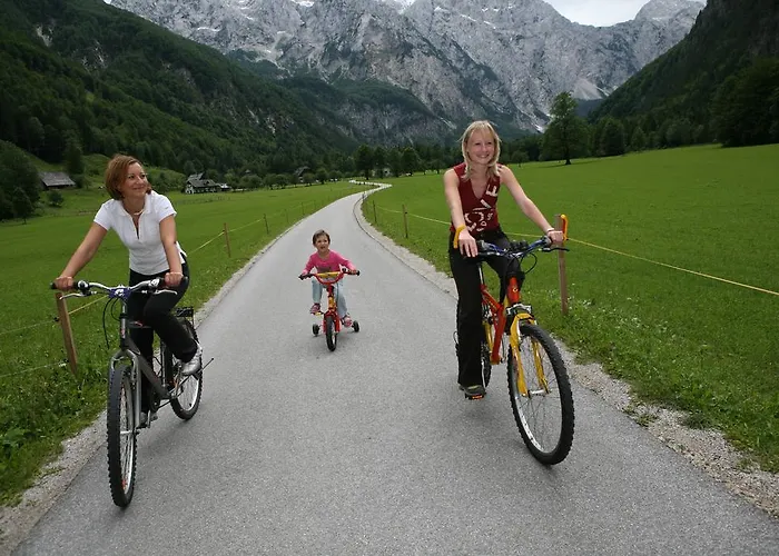 Hotel Plesnik Logar Valley 4*